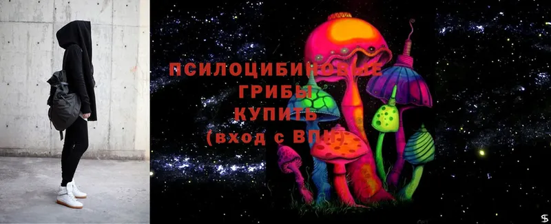 Галлюциногенные грибы Cubensis  Моздок 